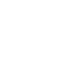 Icon 1 1